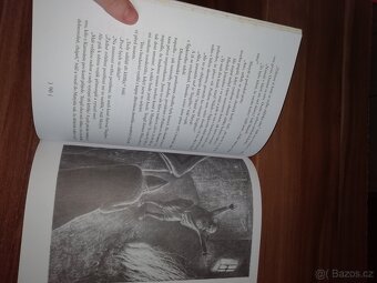 Astrid Lindgrenová knihy Jižní louka- nová, Bratří lví srdce - 13