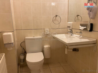 Pronájem apartmánu, 110 m², Plzeň, ul. Zbrojnická - 13