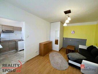 Pronájem, byty/1+1, 30 m2, Vršovců 1146/4, Mariánské Hory, 7 - 13