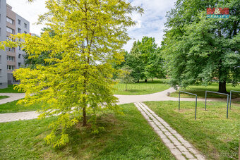 Prodej bytu 2+1, 51 m², Opava, ul. Rolnická - 13
