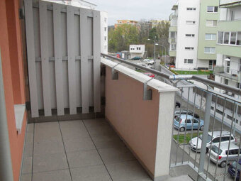 Pronájem bytu 2+kk, Hvozdecká, Brno - Bystrc - 13