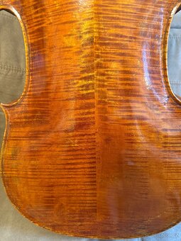 Krásné violončelo - 13