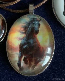 tématika. koně - 13