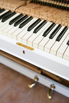 Petrof 117 Chippendale - 13