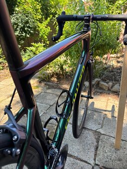 SPECIALIZED TARMAC EXPERT SL6 - 13