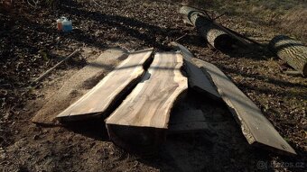 Pořez kulatiny přenosným katrem v místě kácení - 13