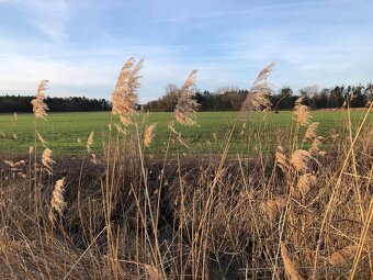 Veľký Pozemok 45 172 m² pri Malých Levároch - 13