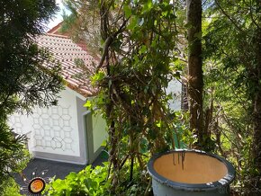 PRODÁM NEBO PRONAJMU DÚM V REGENU-SRN-3 BYTY - 13