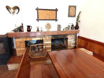 Pronájem, vinný sklep s lisovnou, Nový Šaldorf - 13