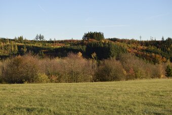 Zrcadlovka Nikon D3300 - 13