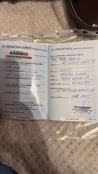 Krytí britský kocour - 13