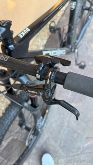 Pells  Duke Race - 13