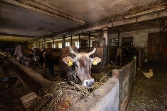 Statek Potštejn - Brná, se šesti byty ( 23.296m2 Pozemky) - 13