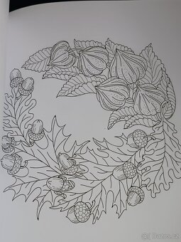 Omalovánky 50 Autumn Mandalas - 13