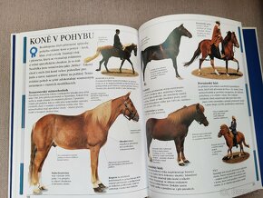 O zvířatech a jejich chovatelství pro čtenáře od 7 let. - 13