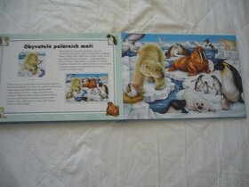 Prodám 2 knihy s puzzle - 13