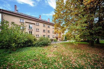 Prodej zděného bytu 2+1, Vysoké Mýto, Brandlova ul. - 13