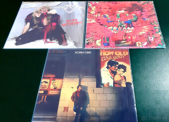 Prodám svou sbírku gramofonových desek - 300 - 13