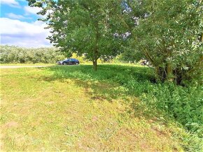 Prodej zahrady 200 m² Třesovice - Popovice - 13