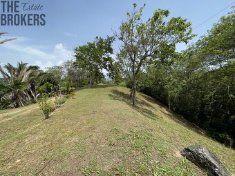 Lot 1 Bodden Bight Estate, Roatan - 13