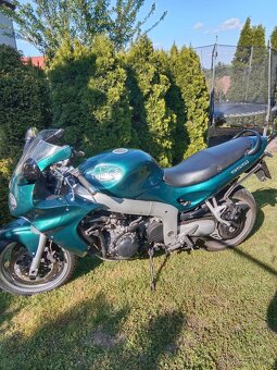 Triumph 955 i - 13