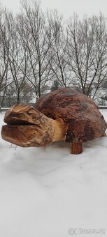 Dřevěný masivní samorost-želva. - 13