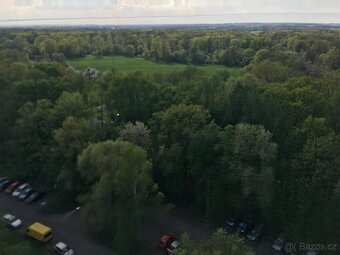 Na prodej: 2 sousedící garsonky s balkonem nebo 2+kk - 13