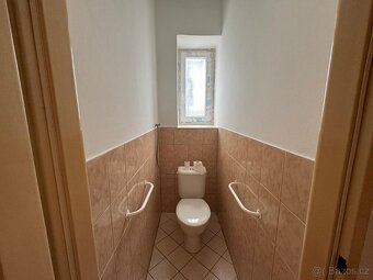 Pronájem bytu Uhlířské Janovice, 3+KK - 13