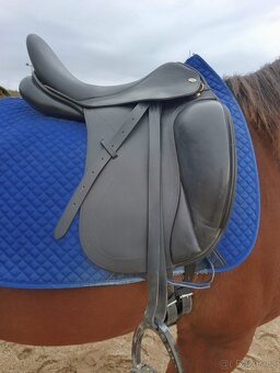 Drezurní sedlo Kentaur Afrodité - 13