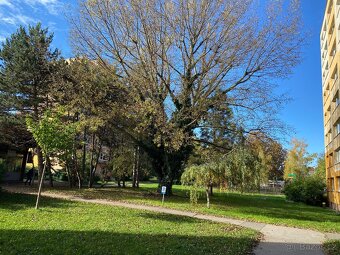 Byt 2+kk,55 m2,P.9-Prosek, Jetrichovicka - 13