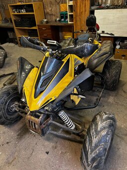 650 Campell Bashan 250 - 13