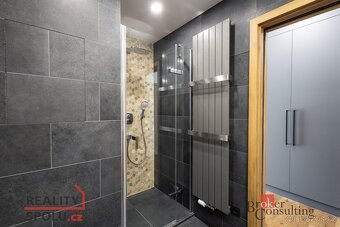 Pronájem, byty/1+kk, 31 m2, Železná 3061/12, Jižní Předměstí - 13