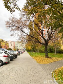 Prodej bytu 1+kk 24 m2 Jabloňová, Praha - Záběhlice - 13