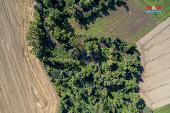 Prodej lesa, 2252 m², Horka nad Moravou - 13