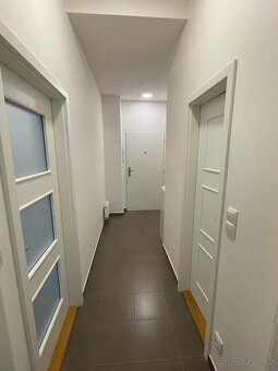 DLouhodobý pronájem bytu 2+kk (55 m2) - 13