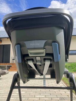 Koarek  3v1-  inglesina ptia , vajico - 13