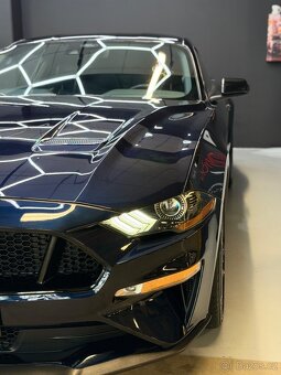 Mustang - 13