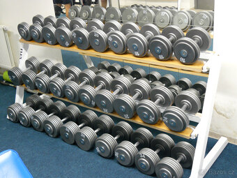 Profi jednoruční činky 2-100kg - 13
