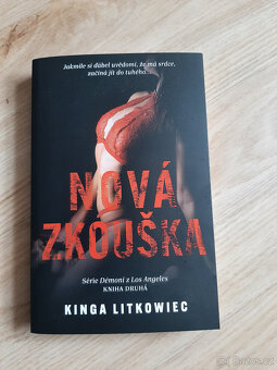 Thrillery a detektivky, drama, romance, povídky - 13