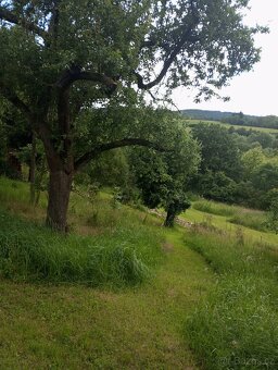 Rodinný dům s velkou 6340 m2 oplocenou zahradou - 13