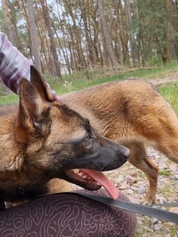 FREYA K ADOPCI - dokonalá parťačka - 13
