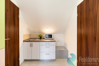Prodej, apartmánový dům, Chlupatá Ves - 13