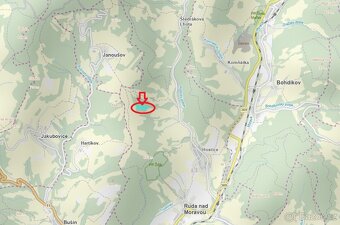 Prodej lesního pozemku v k.ú. Hostice - 13