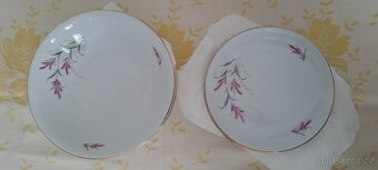 velká stará jídelní porcelánová souprava neúplná - 13