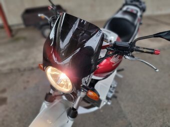 HONDA CB1300 2004 / 46000 km // BÍLO-ČERVENÁ - 13