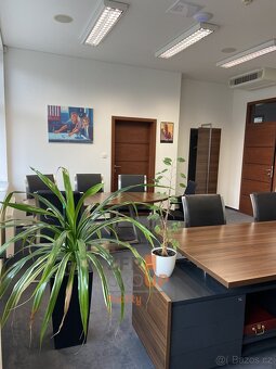 Pronájem kanceláře o rozloze 28 m2, ulice Hrušovská, Ostrava - 13
