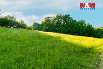 Prodej louky, 18692 m², Jílové u Prahy - 13