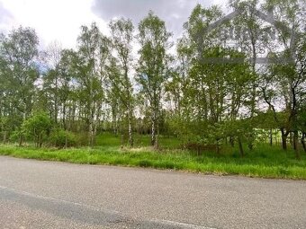 Zemědělská půda o celkové výměře 10 813 m2 - Nová Ves u Plzn - 13