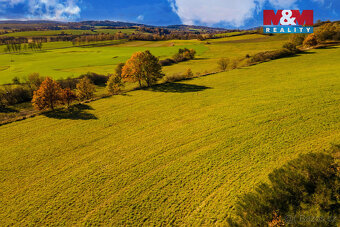 Prodej pole, 6484 m², Kolinec - 13