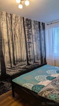 Pronájem kompletně vybaveného bytu 2+kk - 13